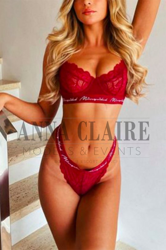 Dublin Escort Reviews