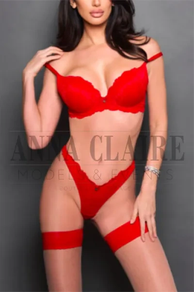 Upscale Miami companion Charlotte