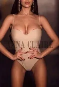 Berlin elite escort Amanda, luxury dinner date and social events companion