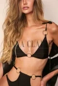 GFE Chicago escort Lauren, high end blonde companion