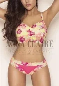 Brussels VIP escorts lady Martine, elite Belgian model companion
