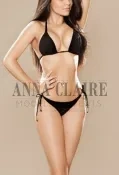 VIP escort Chicago model Nina, high end dinner date