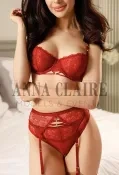 Elite Parisian escort Vanessa, top female companion